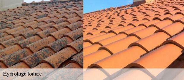Hydrofuge toiture  portes-les-valence-26800 Artisan Laplagne