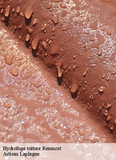 Hydrofuge toiture  remuzat-26510 Artisan Laplagne