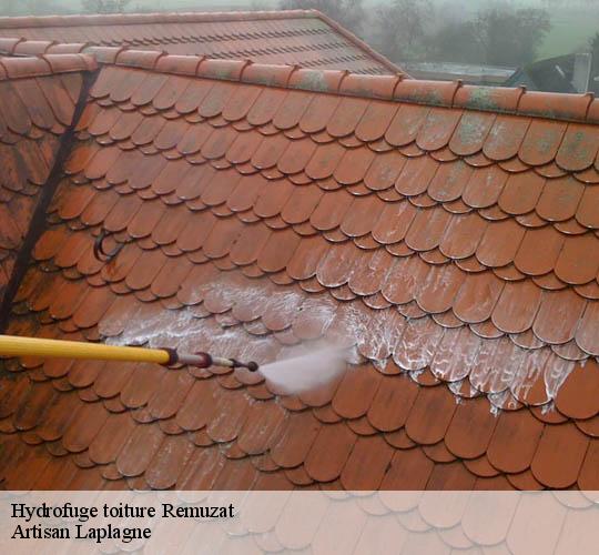 Hydrofuge toiture  remuzat-26510 Artisan Laplagne