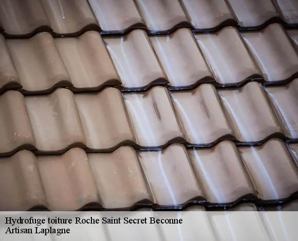 Hydrofuge toiture  roche-saint-secret-beconne-26770 Artisan Laplagne