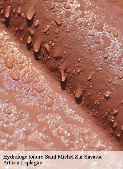Hydrofuge toiture  saint-michel-sur-savasse-26750 Artisan Laplagne