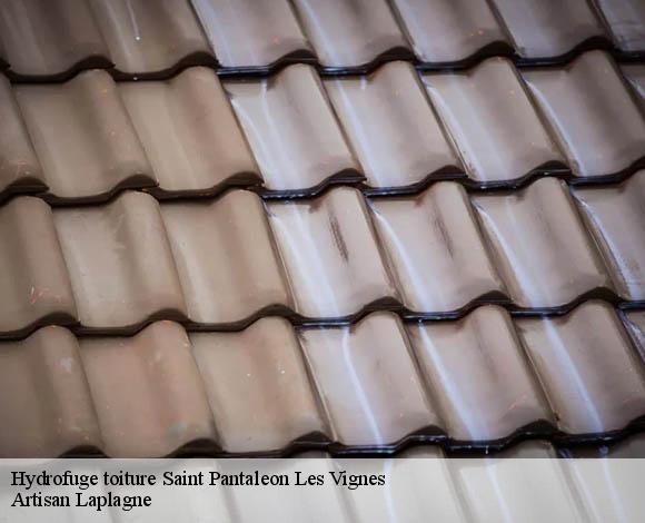 Hydrofuge toiture saint-pantaleon-les-vignes-26770 Artisan Laplagne
