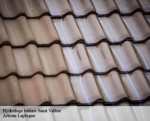 Hydrofuge toiture  saint-vallier-26240 Artisan Laplagne