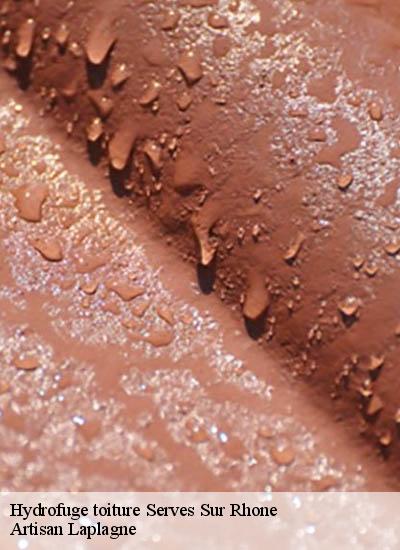 Hydrofuge toiture  serves-sur-rhone-26600 Artisan Laplagne