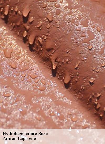Hydrofuge toiture  suze-26400 Artisan Laplagne