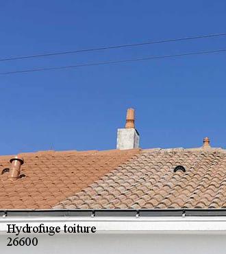 Hydrofuge toiture  gervans-26600 Artisan Laplagne