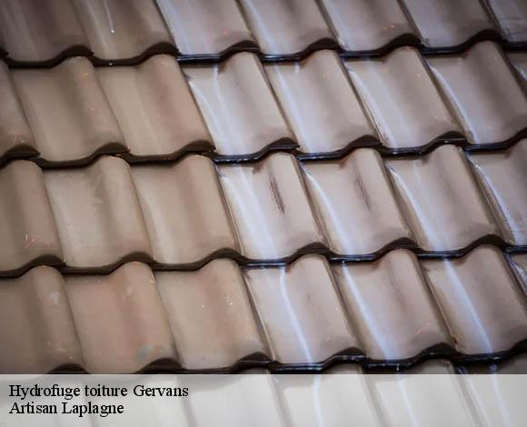 Hydrofuge toiture  gervans-26600 Artisan Laplagne