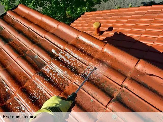 Hydrofuge toiture  gervans-26600 Artisan Laplagne