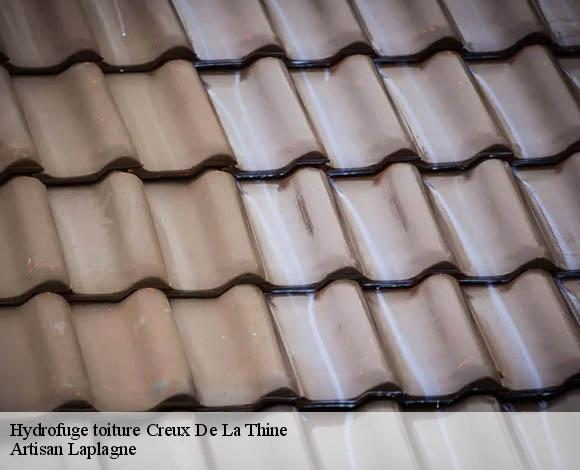 Hydrofuge toiture  creux-de-la-thine-26140 Artisan Laplagne