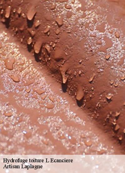 Hydrofuge toiture  l-ecanciere-26730 Artisan Laplagne