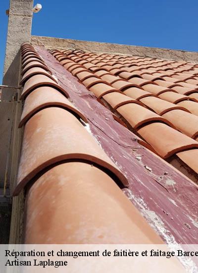 Réparation et changement de faitière et faitage  barcelonne-26120 Artisan Laplagne