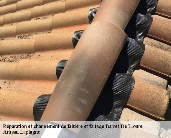 Réparation et changement de faitière et faitage  barret-de-lioure-26570 Artisan Laplagne
