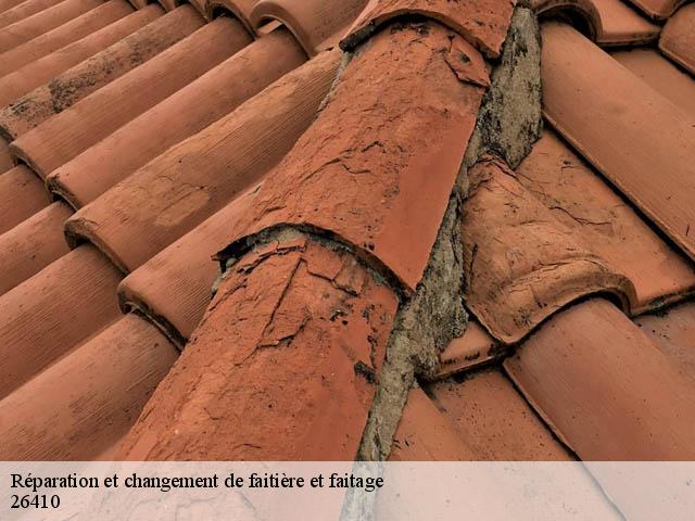 Réparation et changement de faitière et faitage  bonneval-en-diois-26410 Artisan Laplagne