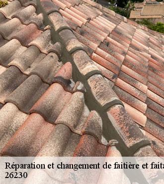 Réparation et changement de faitière et faitage  chantemerle-les-grignan-26230 Artisan Laplagne