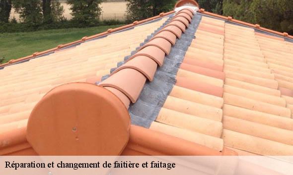 Réparation et changement de faitière et faitage  cobonne-26400 Artisan Laplagne