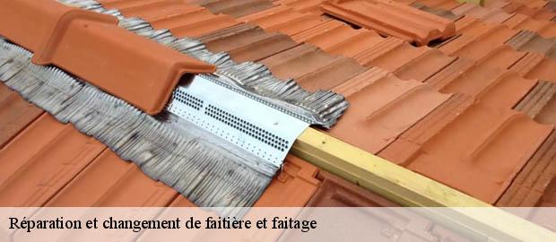 Réparation et changement de faitière et faitage  lemps-26510 Artisan Laplagne