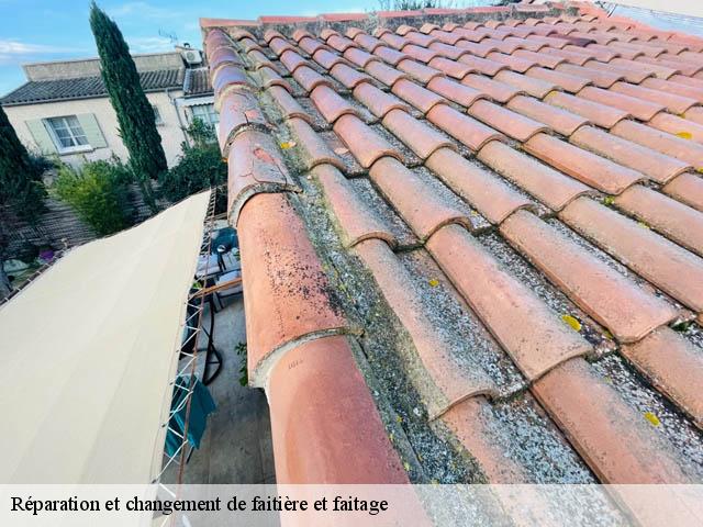 Réparation et changement de faitière et faitage  montmaur-en-diois-26150 Artisan Laplagne