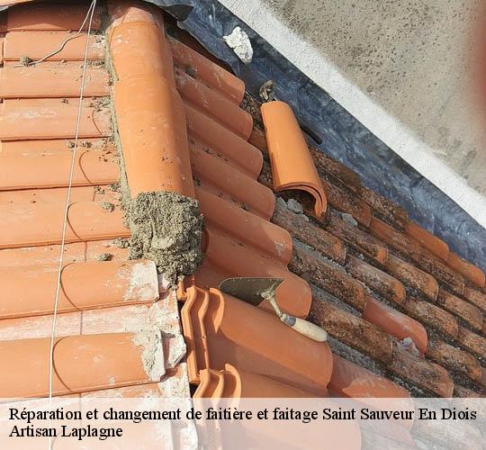 Réparation et changement de faitière et faitage  saint-sauveur-en-diois-26340 Artisan Laplagne