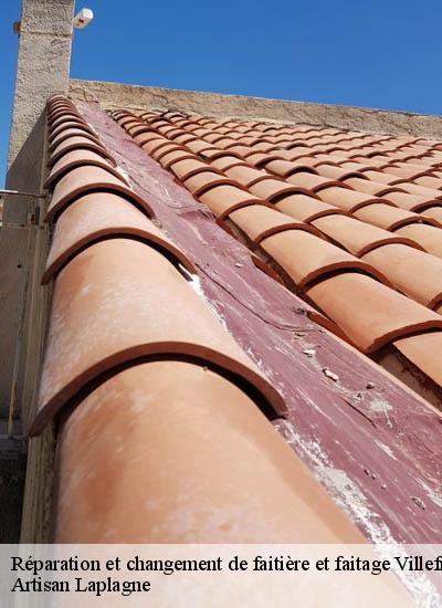 Réparation et changement de faitière et faitage  villefranche-le-chateau-26560 Artisan Laplagne