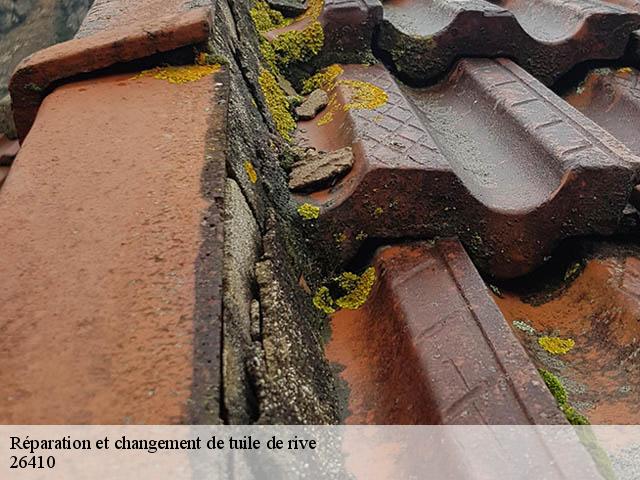 Réparation et changement de tuile de rive   boulc-26410 Artisan Laplagne