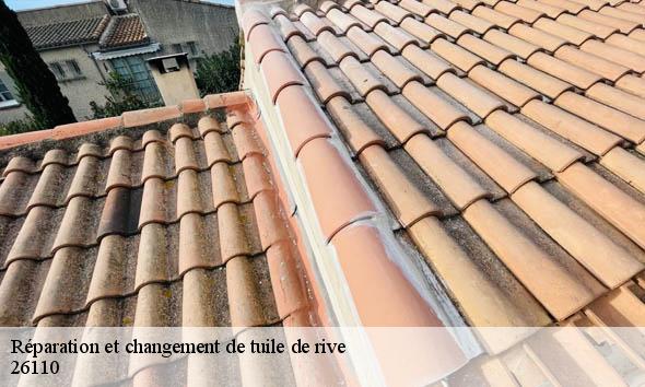 Réparation et changement de tuile de rive   chateauneuf-de-bordette-26110 Artisan Laplagne