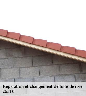 Réparation et changement de tuile de rive   cornillac-26510 Artisan Laplagne