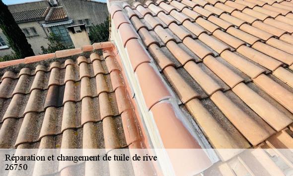 Réparation et changement de tuile de rive geyssans-26750 Artisan Laplagne