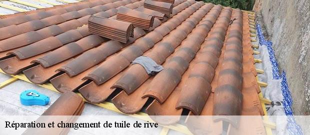 Réparation et changement de tuile de rive   malataverne-26780 Artisan Laplagne