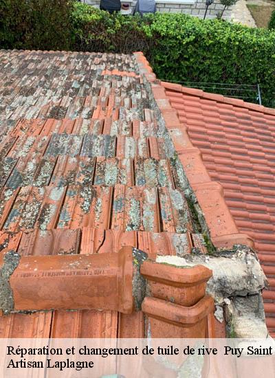 Réparation et changement de tuile de rive puy-saint-martin-26450 Artisan Laplagne