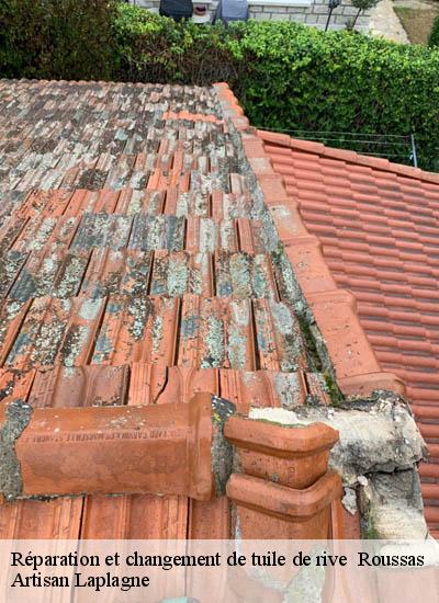 Réparation et changement de tuile de rive   roussas-26230 Artisan Laplagne