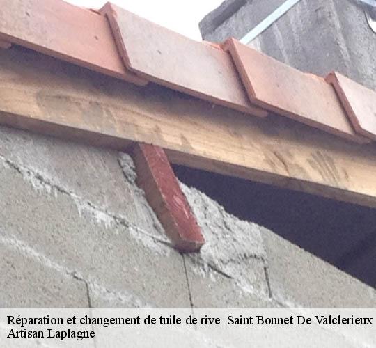 Réparation et changement de tuile de rive   saint-bonnet-de-valclerieux-26350 Artisan Laplagne