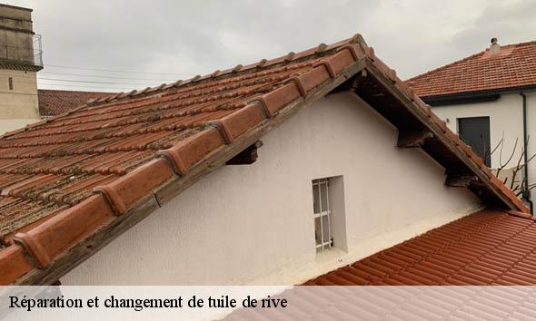 Réparation et changement de tuile de rive   saint-bonnet-de-valclerieux-26350 Artisan Laplagne