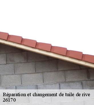 Réparation et changement de tuile de rive   sainte-euphemie-sur-ouveze-26170 Artisan Laplagne