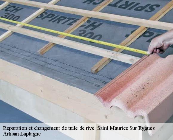 Réparation et changement de tuile de rive   saint-maurice-sur-eygues-26110 Artisan Laplagne