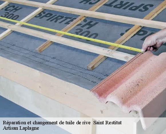 Réparation et changement de tuile de rive   saint-restitut-26130 Artisan Laplagne