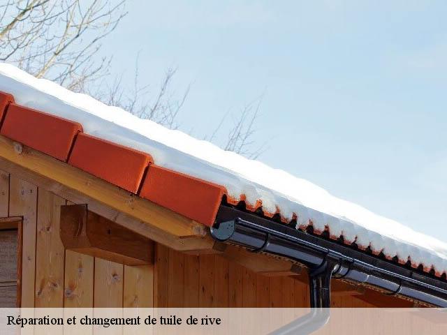 Réparation et changement de tuile de rive   vercoiran-26170 Artisan Laplagne