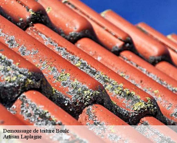 Demoussage de toiture  boulc-26410 Artisan Laplagne