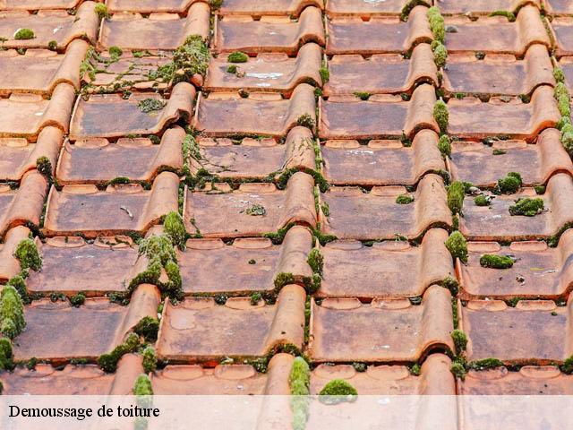 Demoussage de toiture chabrillan-26400 Artisan Laplagne