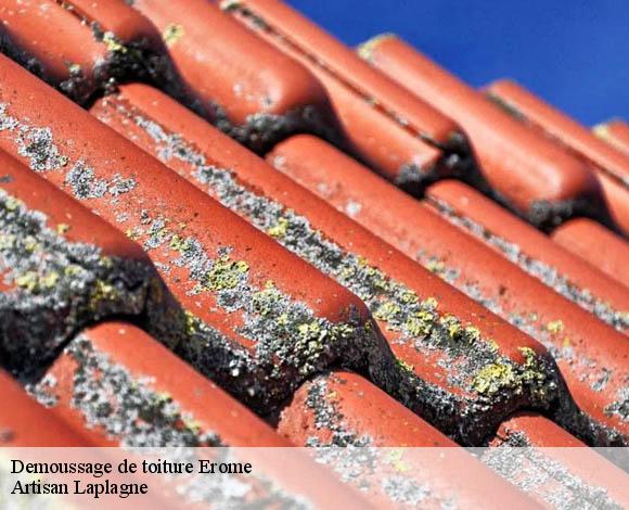 Demoussage de toiture  erome-26600 Artisan Laplagne