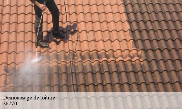 Demoussage de toiture montbrison-26770 Artisan Laplagne