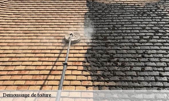 Demoussage de toiture  montelimar-26200 Artisan Laplagne