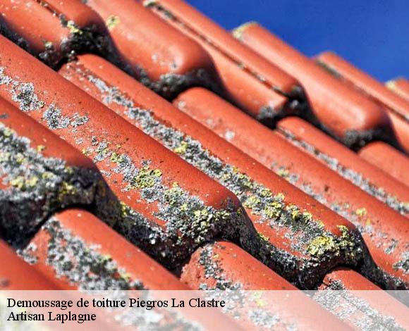 Demoussage de toiture  piegros-la-clastre-26400 Artisan Laplagne