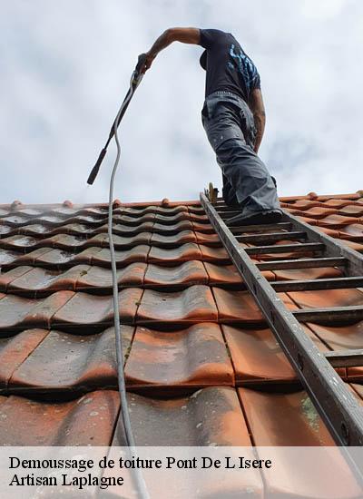 Demoussage de toiture  pont-de-l-isere-26600 Artisan Laplagne