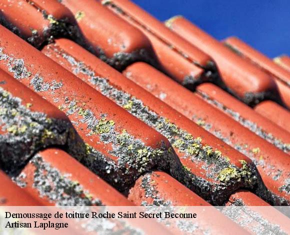 Demoussage de toiture  roche-saint-secret-beconne-26770 Artisan Laplagne
