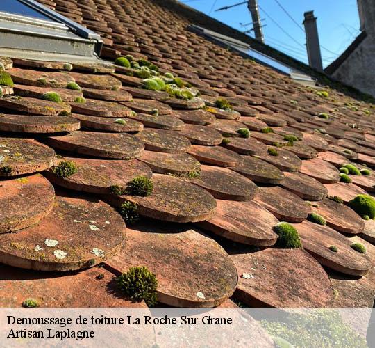 Demoussage de toiture  la-roche-sur-grane-26400 Artisan Laplagne