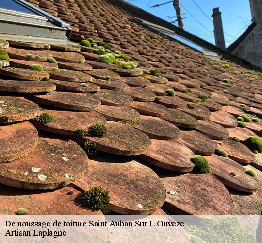 Demoussage de toiture  saint-auban-sur-l-ouveze-26170 Artisan Laplagne