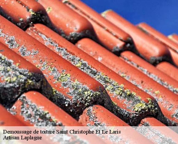 Demoussage de toiture  saint-christophe-et-le-laris-26350 Artisan Laplagne