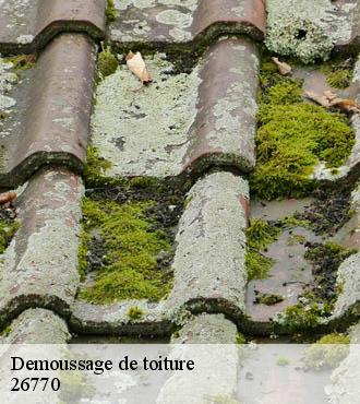 Demoussage de toiture  saint-pantaleon-les-vignes-26770 Artisan Laplagne