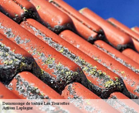 Demoussage de toiture  les-tourrettes-26740 Artisan Laplagne