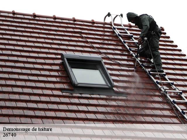 Demoussage de toiture  les-tourrettes-26740 Artisan Laplagne